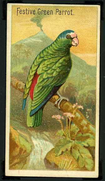 11 Festive Green Parrot